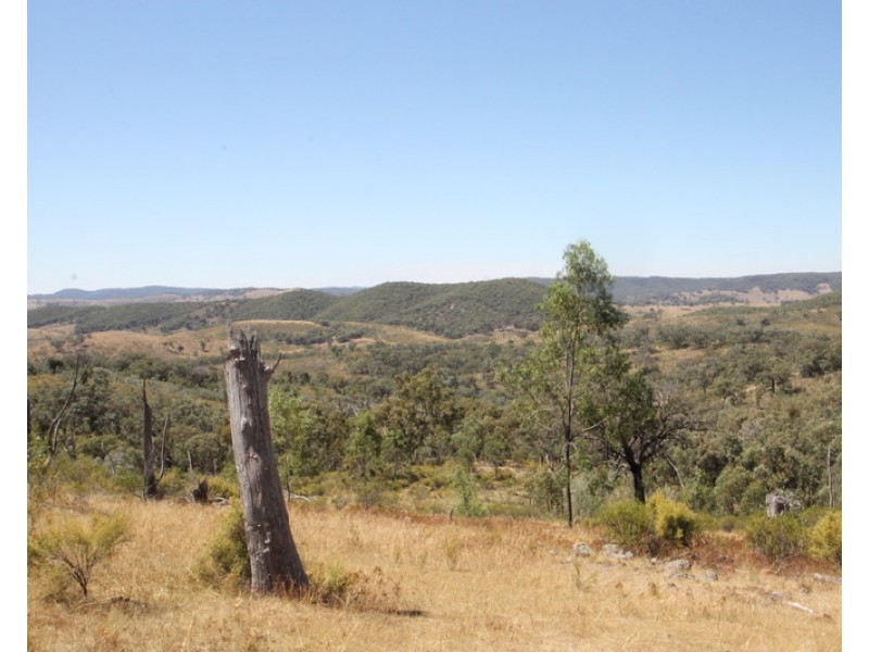 Lot 296, 758 Pyramul Road, Mudgee NSW 2850