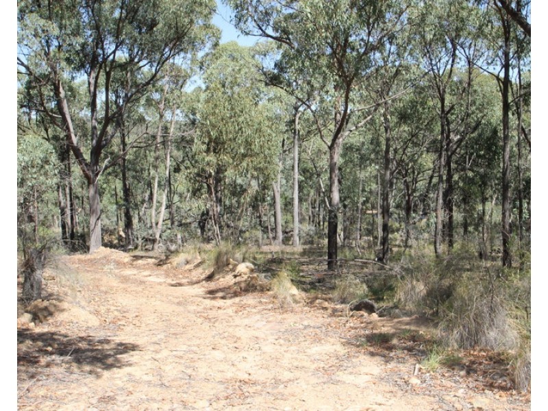 Lot 296, 758 Pyramul Road, Mudgee NSW 2850