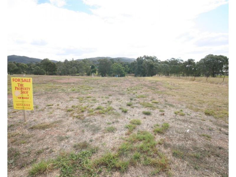 36 Bateman Avenue, Mudgee NSW 2850