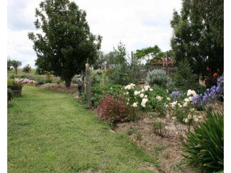 10654 Golden Highway, Cassilis NSW 2329