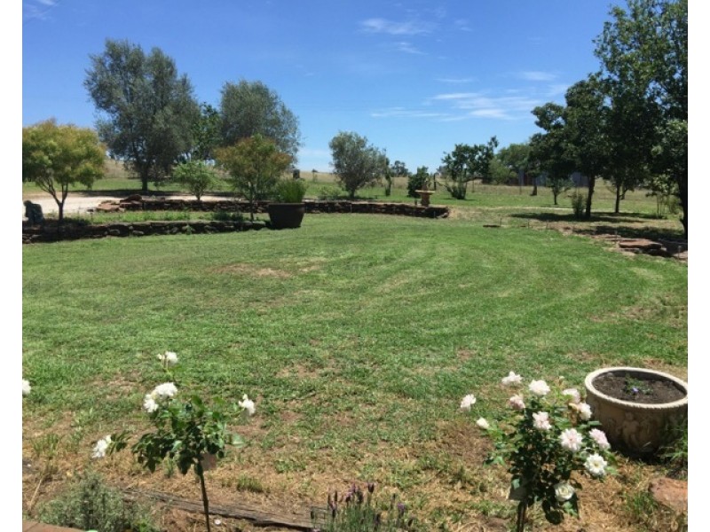 10654 Golden Highway, Cassilis NSW 2329