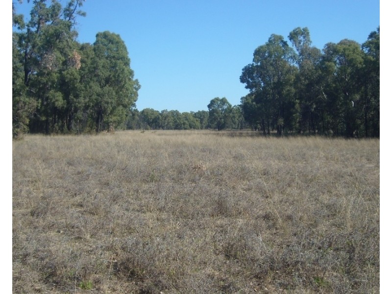 Maroo Road, Coonabarabran NSW 2357