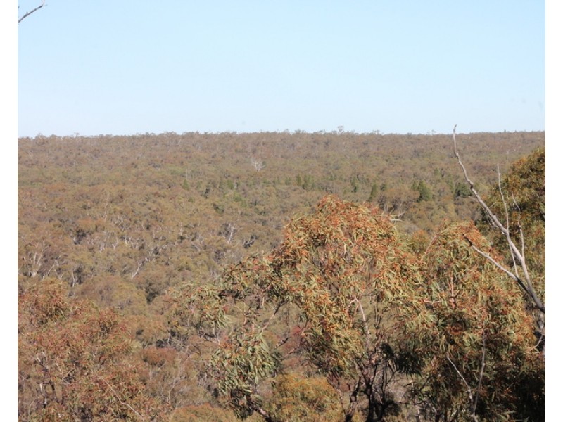 Maroo Road, Coonabarabran NSW 2357