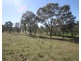 Lot 8, 140 Lesters Lane, Mudgee NSW 2850
