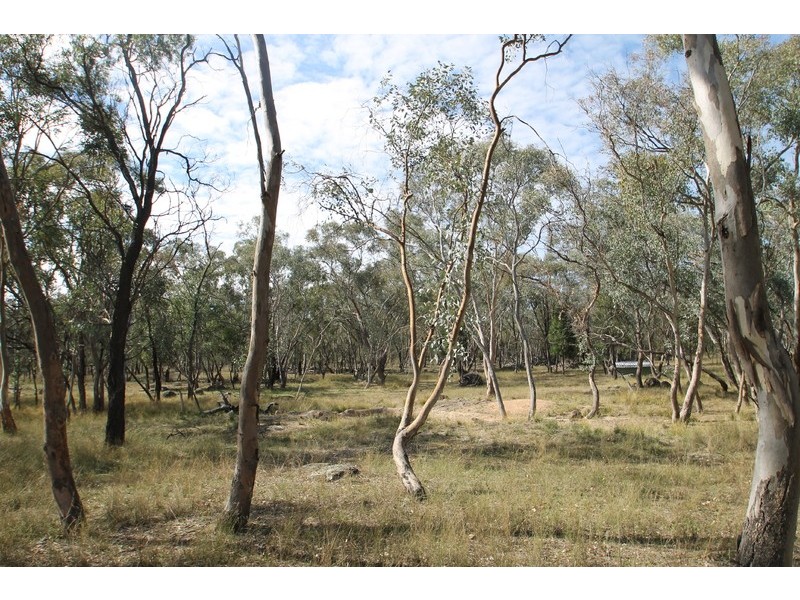 198 Cypress Drive, Mudgee NSW 2850