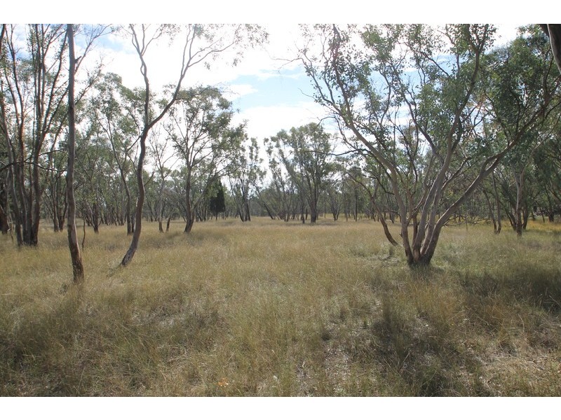 198 Cypress Drive, Mudgee NSW 2850