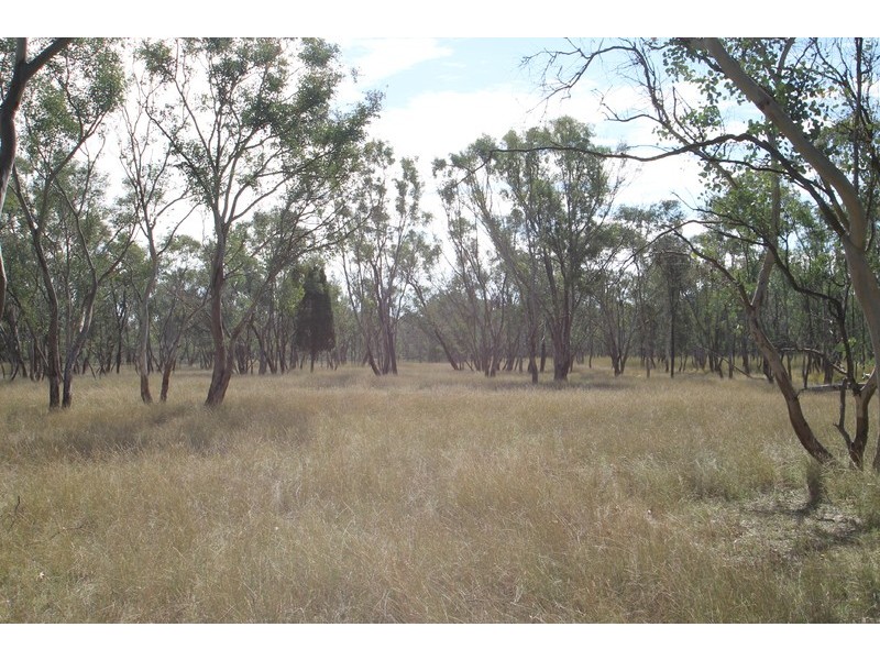 198 Cypress Drive, Mudgee NSW 2850