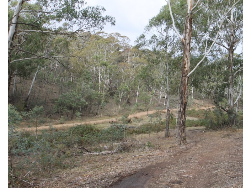 Lot 200, 704 Green Gully Road, Mudgee NSW 2850