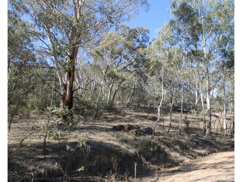 Lot 200, 704 Green Gully Road, Mudgee NSW 2850