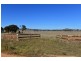 77 Grimshaw Lane, Gulgong NSW 2852