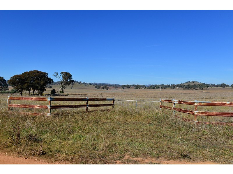 77 Grimshaw Lane, Gulgong NSW 2852