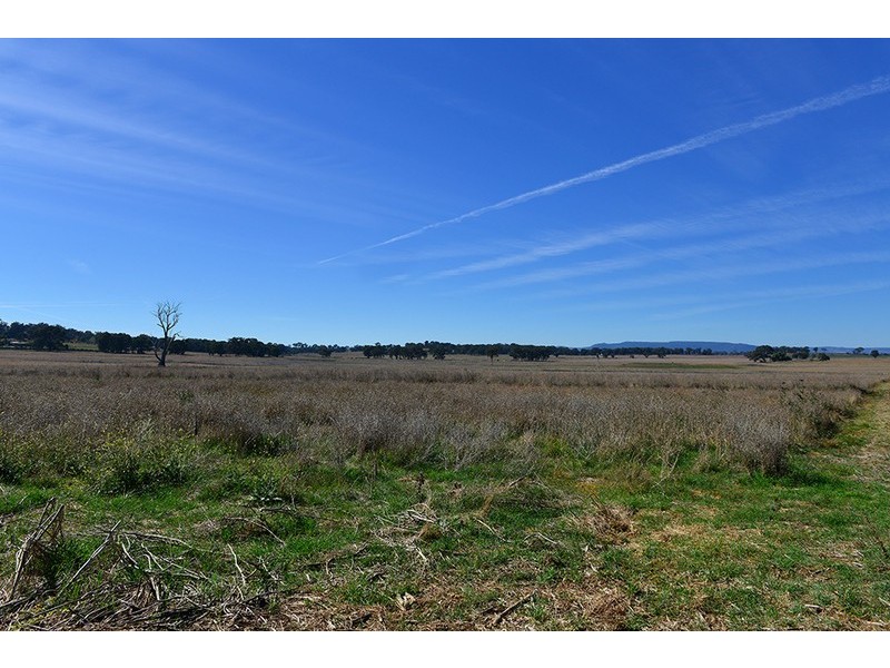 77 Grimshaw Lane, Gulgong NSW 2852