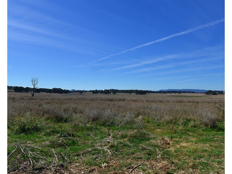 68 Zimmler Lane, Gulgong NSW 2852