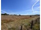 90 Zimmler Lane, Gulgong NSW 2852