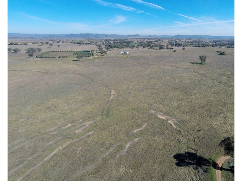 76 Zimmler Lane, Gulgong NSW 2852