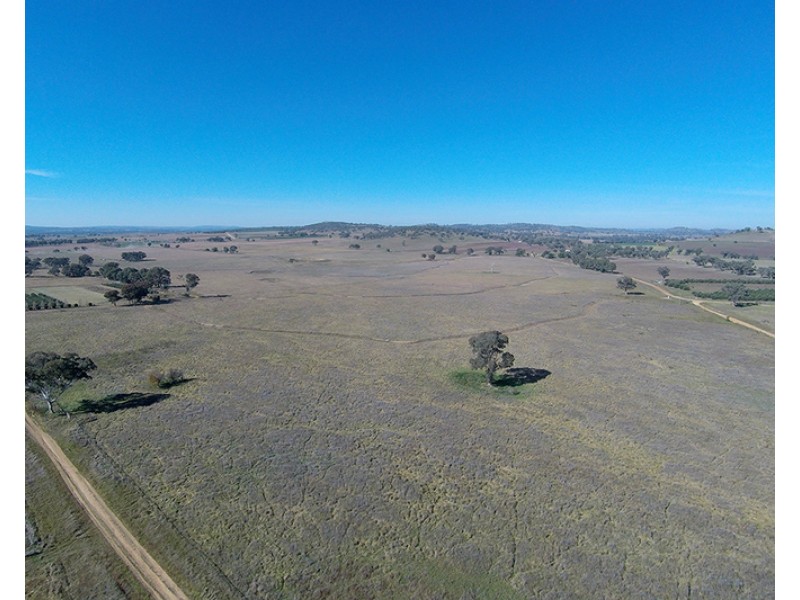 76 Zimmler Lane, Gulgong NSW 2852