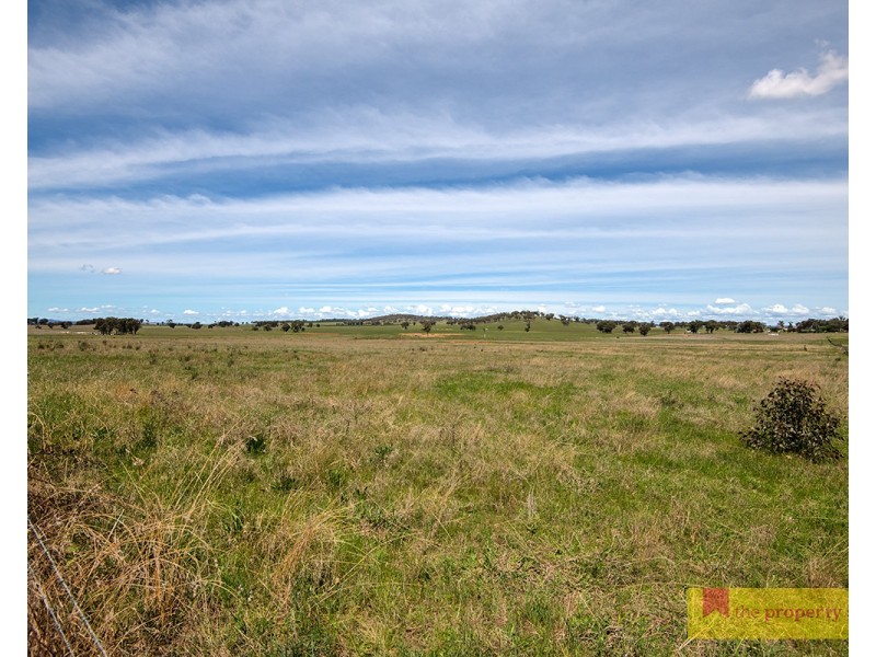76 Zimmler Lane, Gulgong NSW 2852