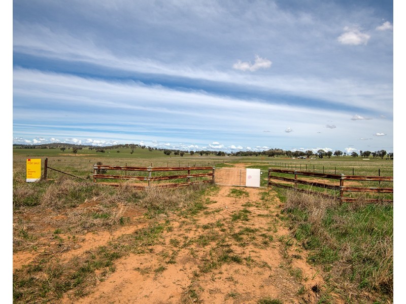 76 Zimmler Lane, Gulgong NSW 2852