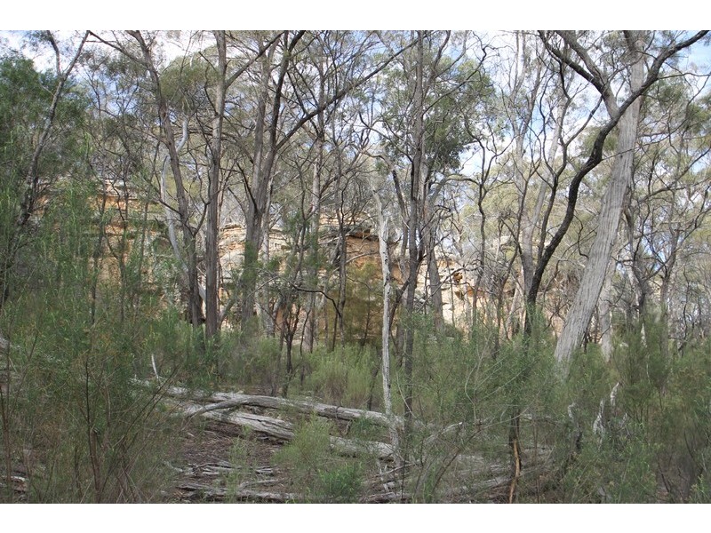 1532 Blue Springs Road, Gulgong NSW 2852