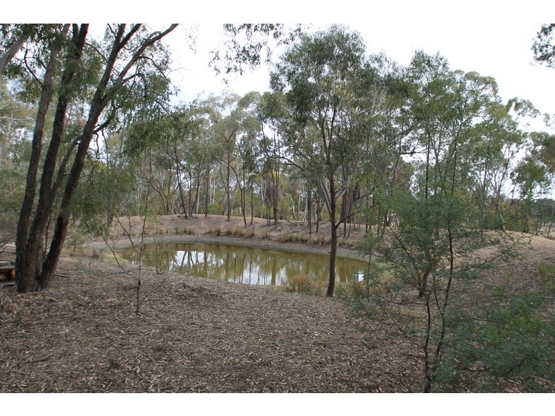 1532 Blue Springs Road, Gulgong NSW 2852