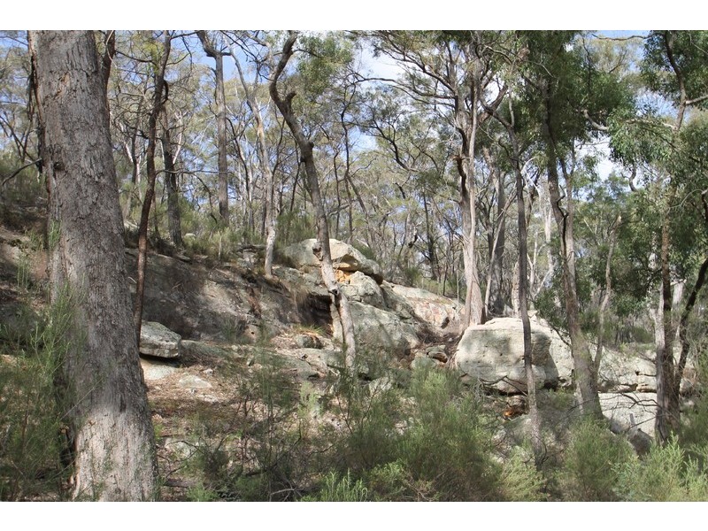 1532 Blue Springs Road, Gulgong NSW 2852