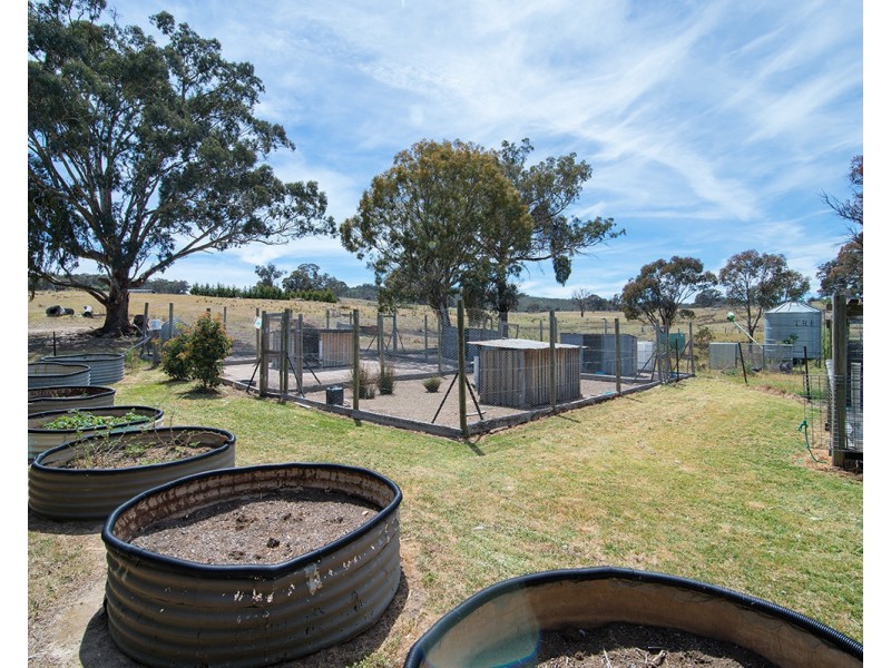 1137 Pyramul Road, Mudgee NSW 2850
