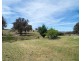 1137 Pyramul Road, Mudgee NSW 2850