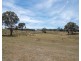 1137 Pyramul Road, Mudgee NSW 2850