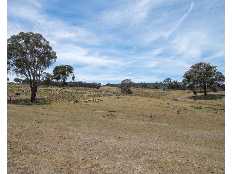 1137 Pyramul Road, Mudgee NSW 2850