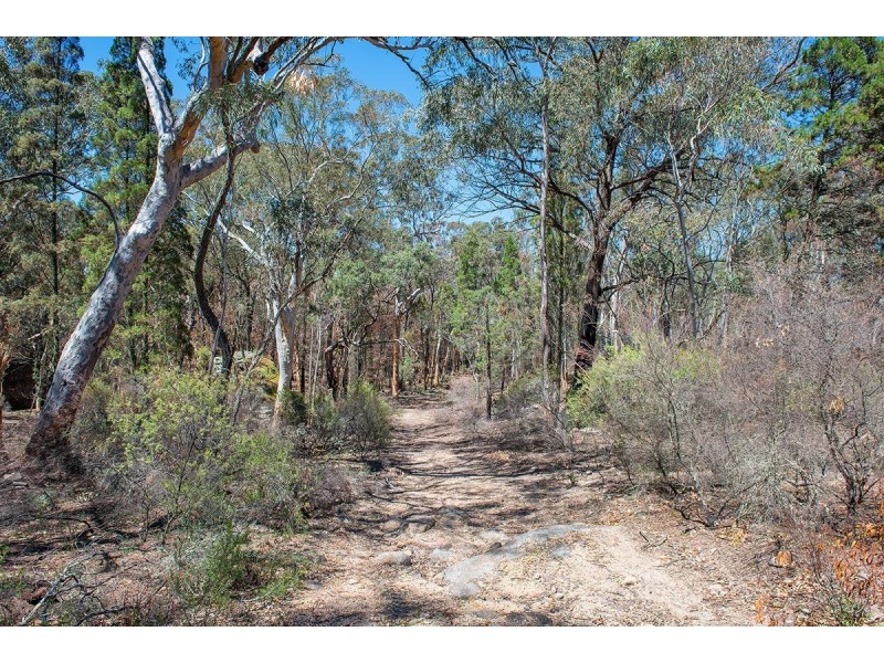 53 Glenrock Lane, Mudgee NSW 2850