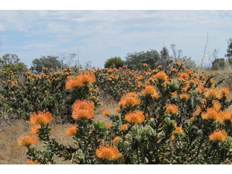 2883 Ulan Road, Mudgee NSW 2850