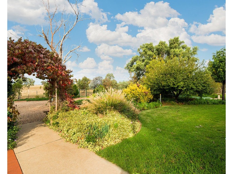 370 Castlereagh Highway, Gulgong NSW 2852