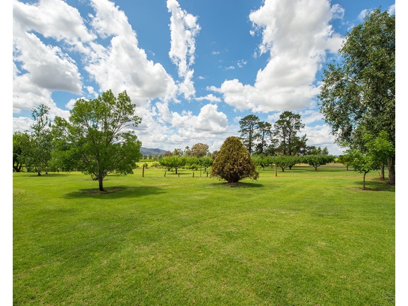 43 Eurunderee Lane, Mudgee NSW 2850