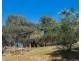 267 Triangle Swamp Road, Mudgee NSW 2850