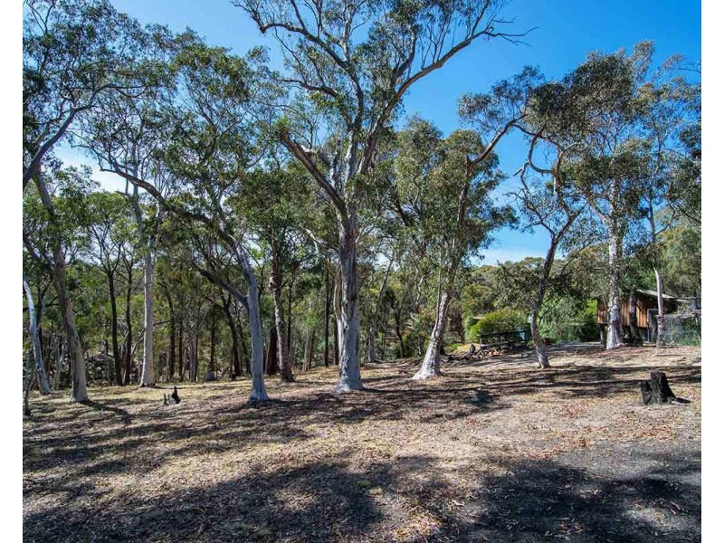 267 Triangle Swamp Road, Mudgee NSW 2850