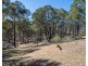 267 Triangle Swamp Road, Mudgee NSW 2850