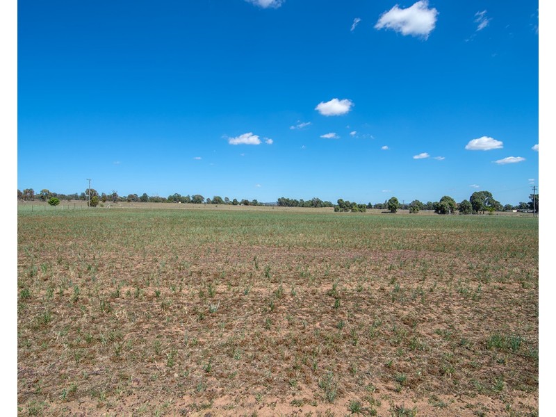227 Frog Rock Road, Mudgee NSW 2850