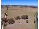 1530 Wollar Road, Mudgee NSW 2850