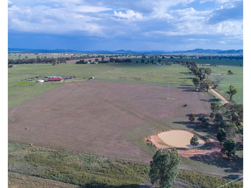58 Holleys Lane, Gulgong NSW 2852