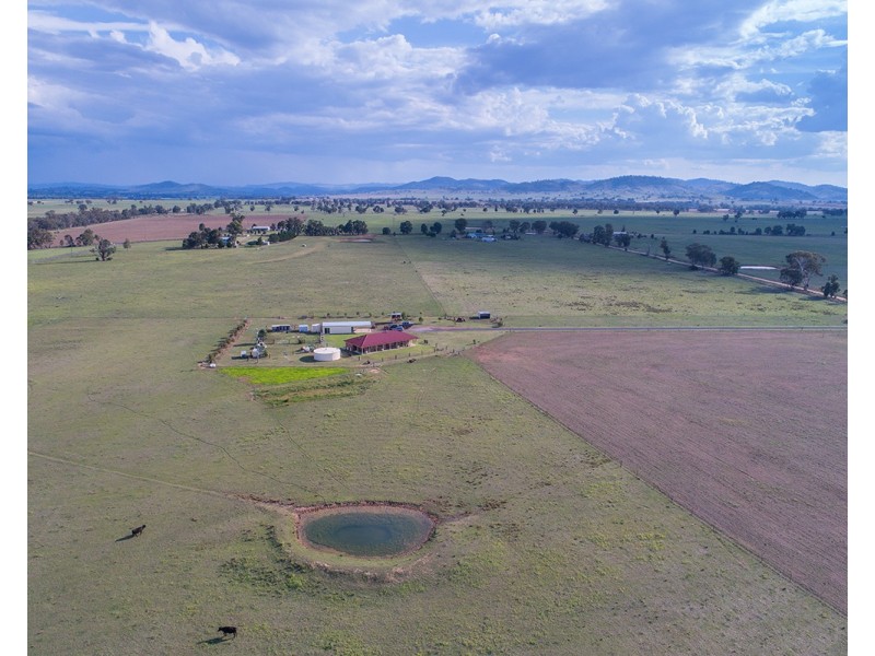 58 Holleys Lane, Gulgong NSW 2852