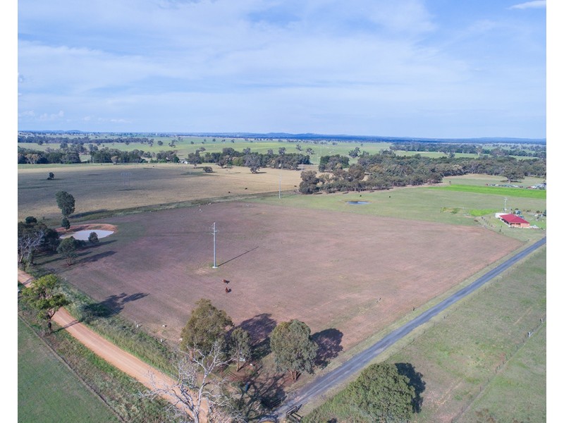 58 Holleys Lane, Gulgong NSW 2852