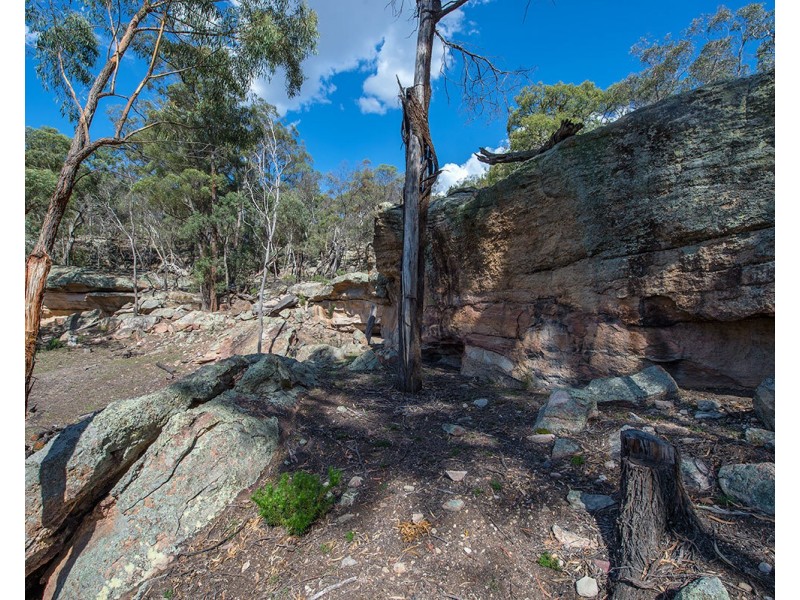 1572 Blue Springs Road, Gulgong NSW 2852