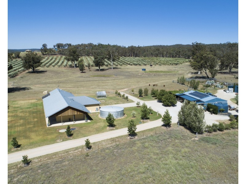408 Botobolar Road, Mudgee NSW 2850
