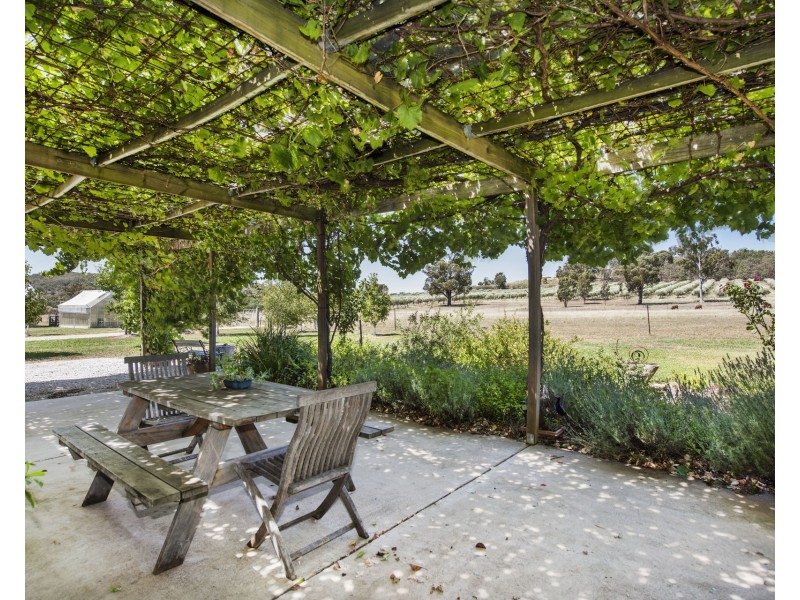 408 Botobolar Road, Mudgee NSW 2850