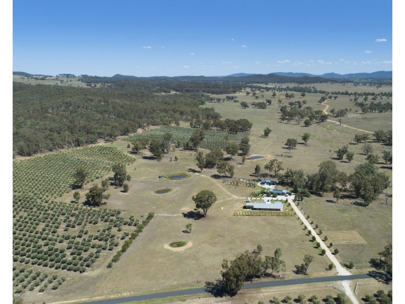 408 Botobolar Road, Mudgee NSW 2850