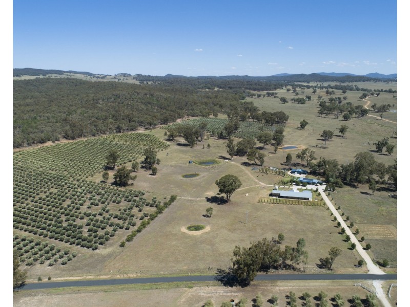 408 Botobolar Road, Mudgee NSW 2850