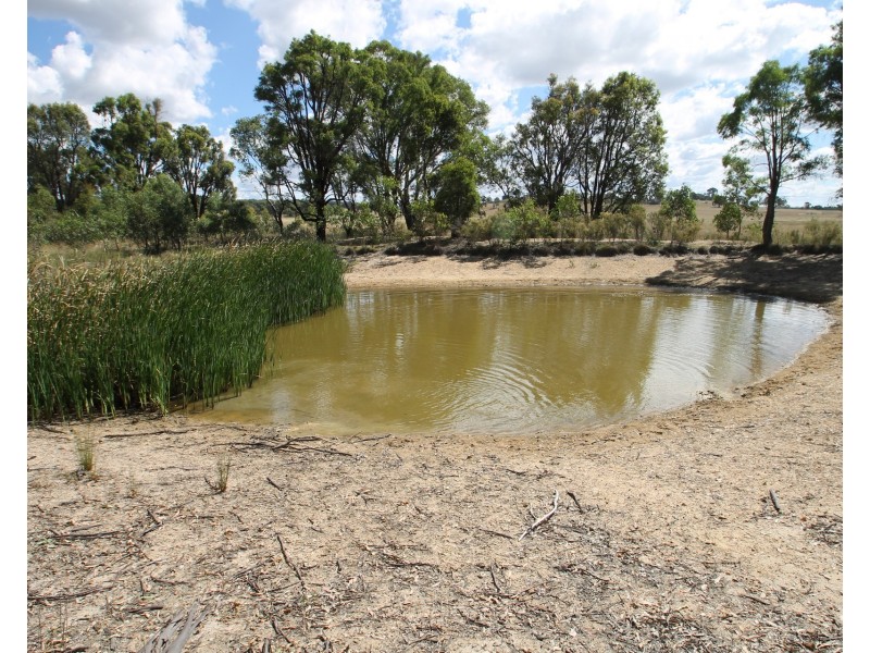 116 Iron Barks Road, Mudgee NSW 2850