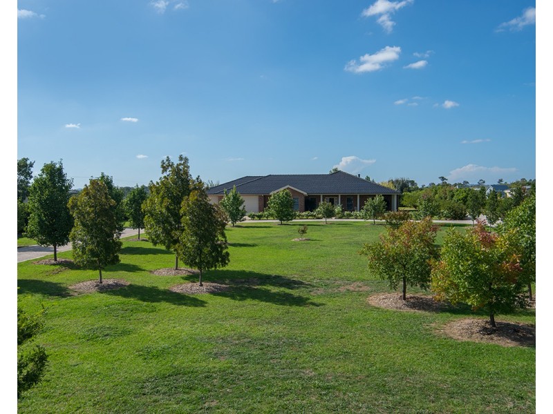 207 Putta Bucca Road, Mudgee NSW 2850