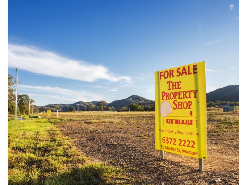 105 Plenty Road, Mudgee NSW 2850