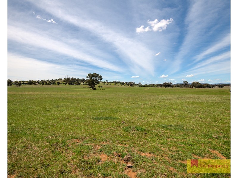 14 Zimmler Lane, Gulgong NSW 2852